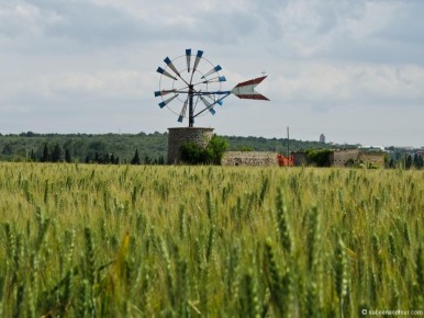 10-01-132 Mallorca Wind Mill Wheat Field-LR