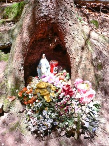 010-04-016 Italy Dolomites St.Maria Shrine Tree Flowers-LR