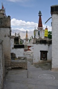 08-03-013 Ladakh Stok Gompa