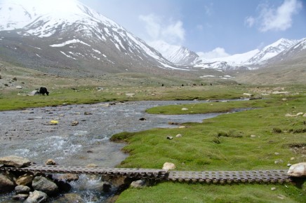 08-01-009 Ladakh Pullu Nubra Valley