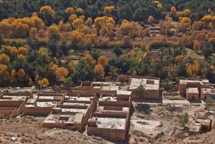 031-013 Oasis Gorge du Ziz Yellow Leaf-bearing Trees and Roof Tops-LRC