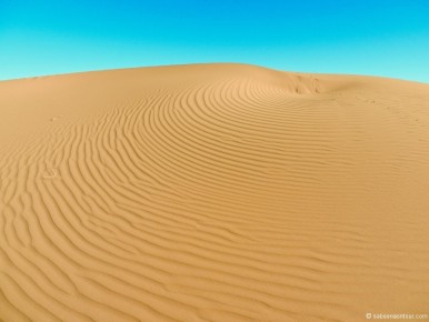 031-040 Erg Chebbi White Sand Dunes-LRC