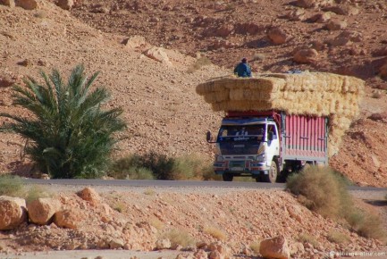 035-003 Lorry with Hay Load-LRC