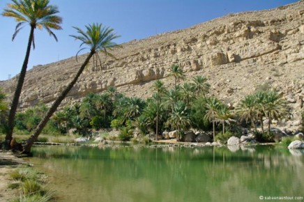 1293-Wadi-Bani-KhalidL
