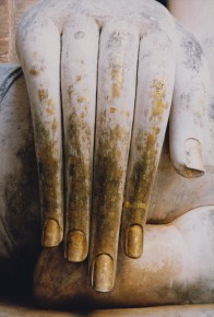 064-002 Buddhas Hand