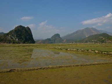 071 124 Tam Coc Rice Fields Water