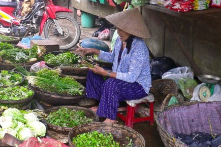 072 062 Hoi An Market Vegetable Vendour