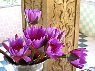016 011 Pink Lotus in Vase-LRC