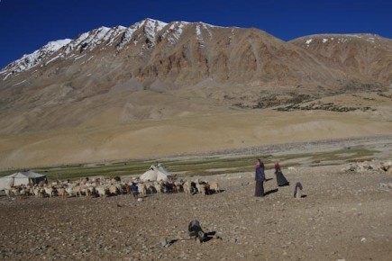 08-01-020 Ladakh Tsomoriri to Leh