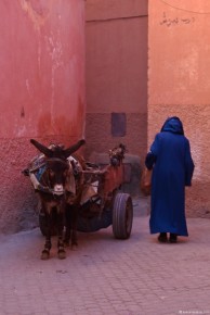 032-095A Marrakech Medina Donkey Cart with Blue Djellaba-LRC