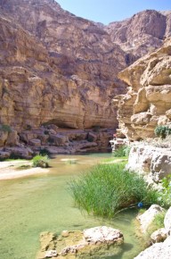 1509-Wadi-ShabL