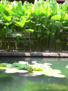 061-012 Bangkok Pond with Green